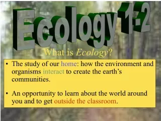 What is  Ecology ?