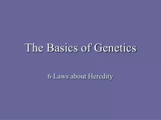 The Basics of Genetics