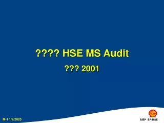 ???? HSE MS Audit ??? 2001