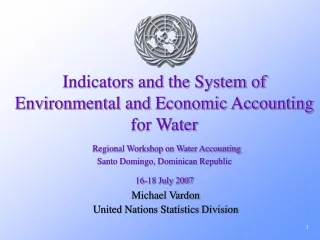 Michael Vardon United Nations Statistics Division