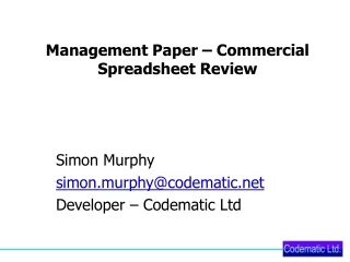 Management Paper – Commercial Spreadsheet Review