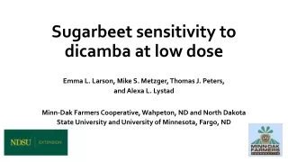 Sugarbeet sensitivity to dicamba at low dose