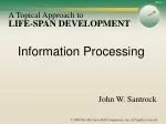 Insights into Cognitive Development: Information Processing in Life Span - slide 1