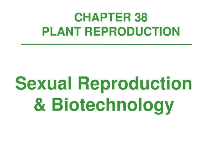 chapter 38 plant reproduction