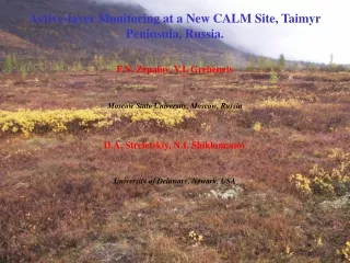 Active-layer Monitoring at a New CALM Site, Taimyr Peninsula, Russia .