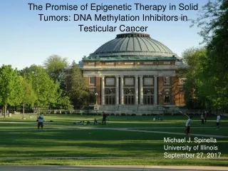 The Promise of Epigenetic Therapy in Solid Tumors: DNA Methylation Inhibitors in Testicular Cancer