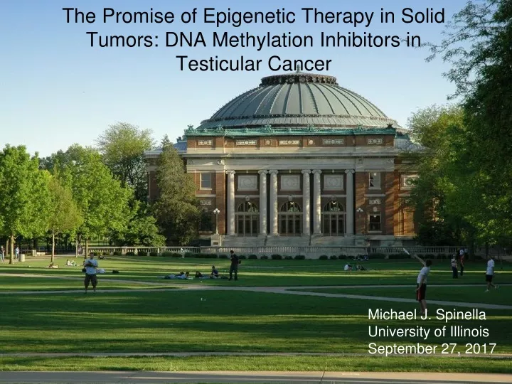 the promise of epigenetic therapy in solid tumors dna methylation inhibitors in testicular cancer