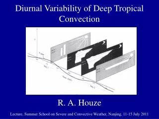 Diurnal Variability of Deep Tropical Convection