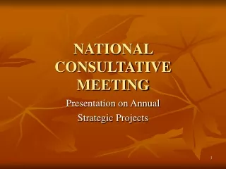 NATIONAL CONSULTATIVE MEETING