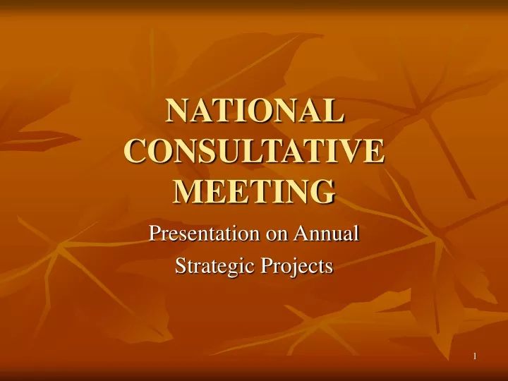 national consultative meeting
