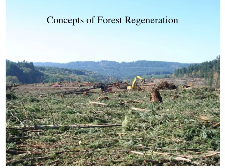 concepts of forest regeneration