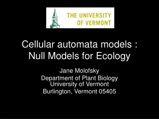 Cellular automata models : Null Models for Ecology