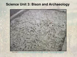 Science Unit 3: Bison and Archaeology