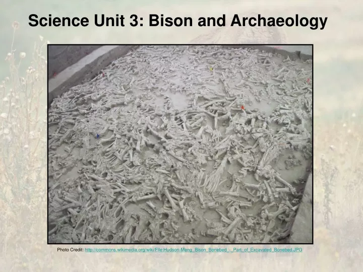 science unit 3 bison and archaeology