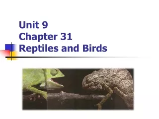 Unit 9 Chapter 31 Reptiles and Birds