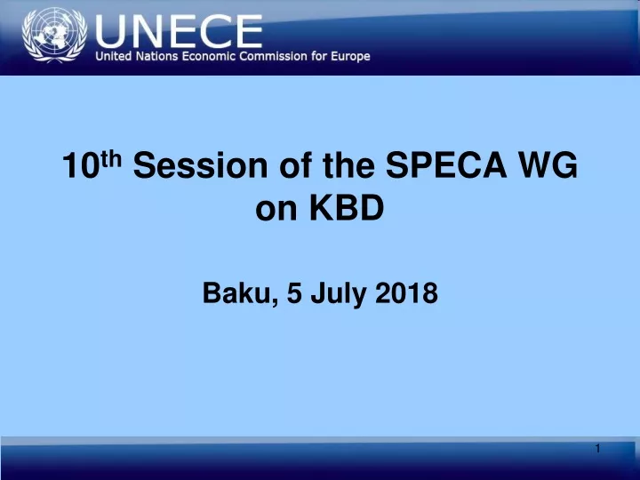 10 th session of the speca wg on kbd