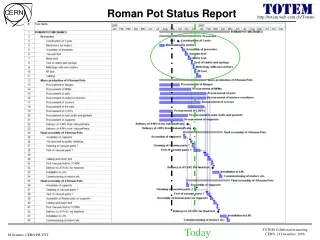 Roman Pot Status Report