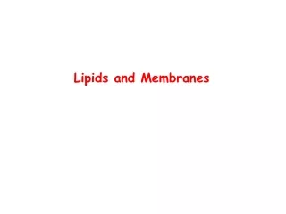 Lipids and Membranes