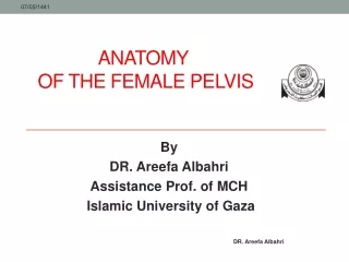 Anatomy  of the Female Pelvis