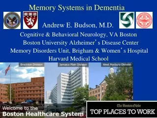 Memory Systems in Dementia
