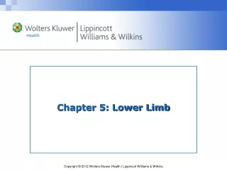 Chapter 5: Lower Limb