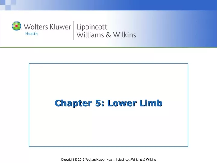 chapter 5 lower limb