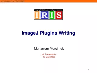 ImageJ Plugins Writing