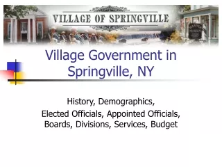 Village Government in Springville, NY