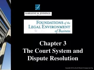 Chapter 3  The Court System and Dispute Resolution