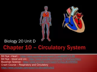 Chapter 10 – Circulatory System