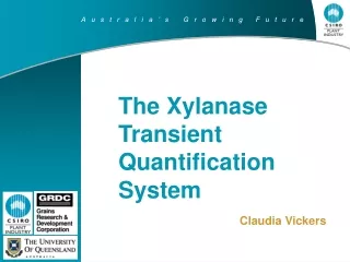 The Xylanase Transient Quantification System