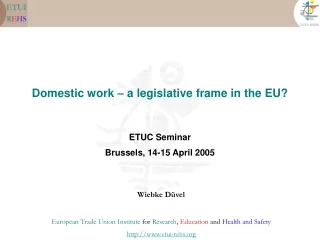 Domestic work – a legislative frame in the EU?