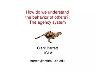 How do we understand  the behavior of others?: The agency system