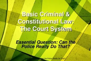 Basic Criminal &amp; Constitutional Law: The Court System