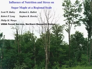 Influence of Nutrition and Stress on  Sugar Maple at a Regional Scale