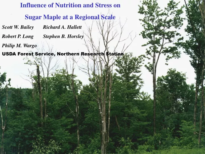 influence of nutrition and stress on sugar maple