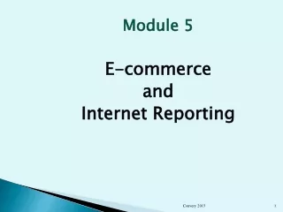 Module 5 E-commerce  and  Internet Reporting