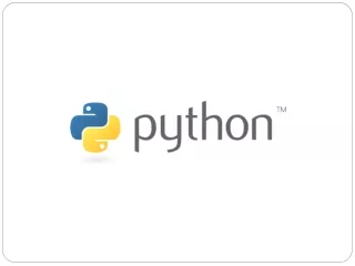 &gt;&gt;&gt;  Python Basics