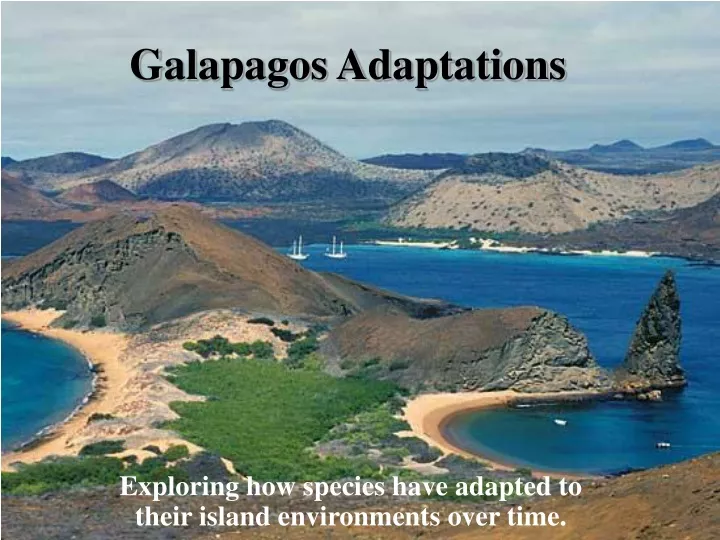 galapagos adaptations