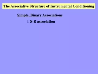 The Associative Structure of Instrumental Conditioning