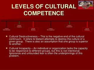 LEVELS OF CULTURAL COMPETENCE