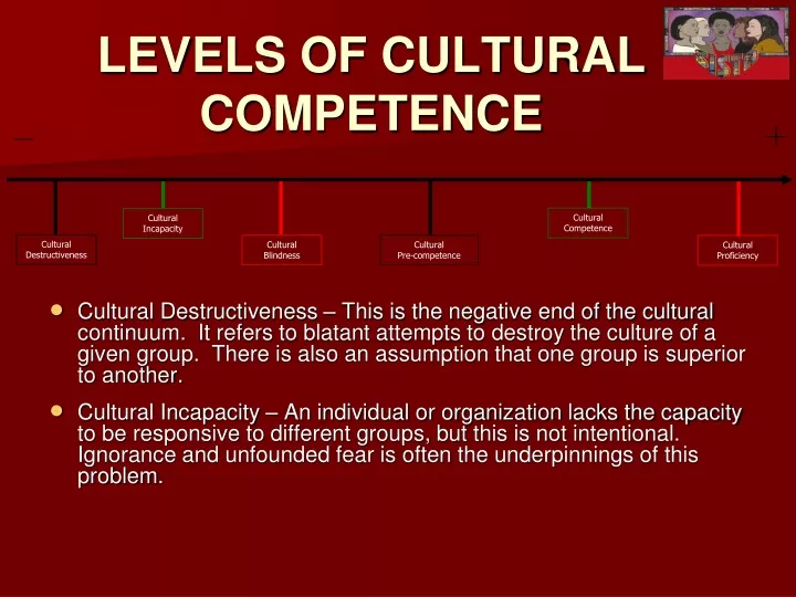 levels of cultural competence