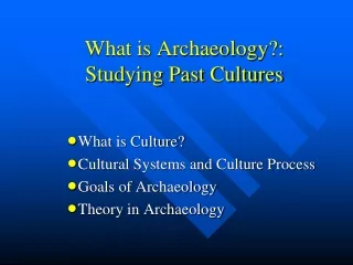 What is Archaeology?: Studying Past Cultures