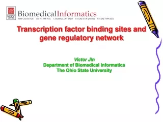 Transcription factor binding sites and gene regulatory network