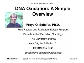 DNA Oxidation: A Simple Overview