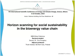 Horizon scanning for social sustainability in the bioenergy value chain