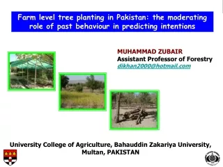 MUHAMMAD ZUBAIR Assistant Professor of Forestry dikhan2000@hotmail