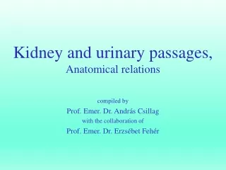 compiled by Prof. Emer. Dr. András Csillag with the collaboration of