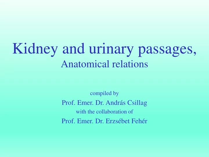 compiled by prof emer dr andr s csillag with the collaboration of prof emer dr erzs bet feh r