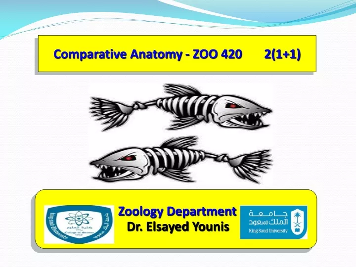 comparative anatomy zoo 420 2 1 1